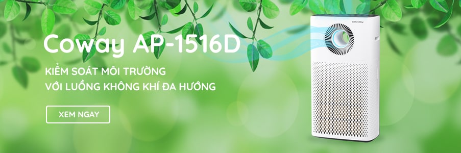 Sản phẩm