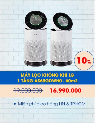 Máy lọc không khí LG PuriCare AS65GDWH0 Safeplus 1 tầng