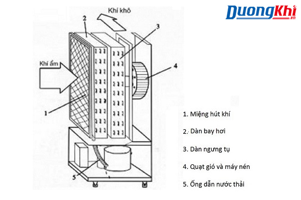 cấu tạo máy hút ẩm dạng ngưng tụ