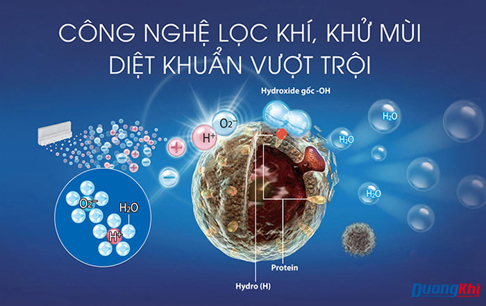 khử trùng ô tô