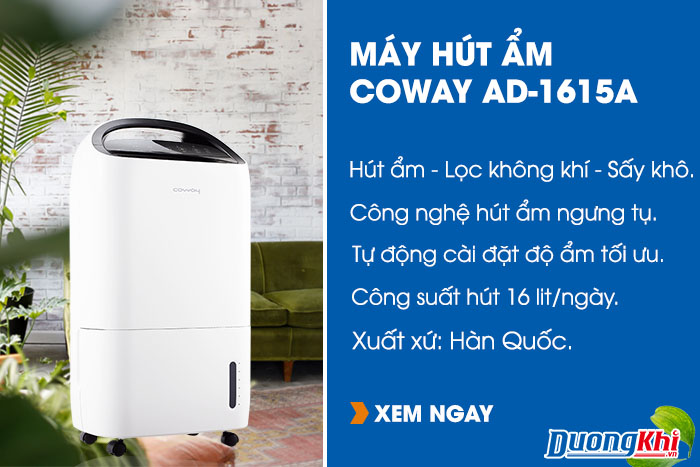 Máy hút ẩm Coway AD-1615A
