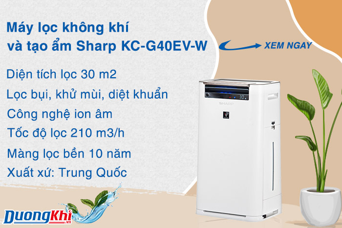 Máy lọc không khí Sharp KC-G40E-W 30m2