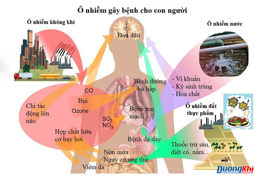 ô nhiễm không khí tàn phá mọi bộ phận trên cơ thể