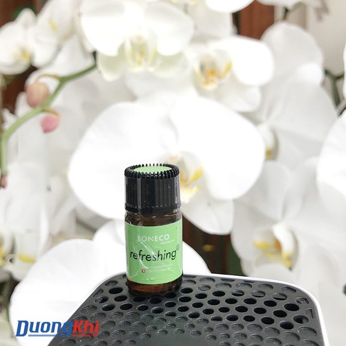 Máy lọc không khí trên ô tô Boneco P50