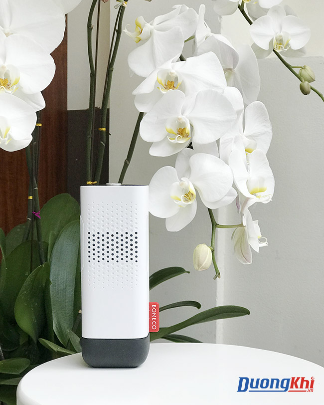 Máy lọc không khí trên ô tô Boneco P50
