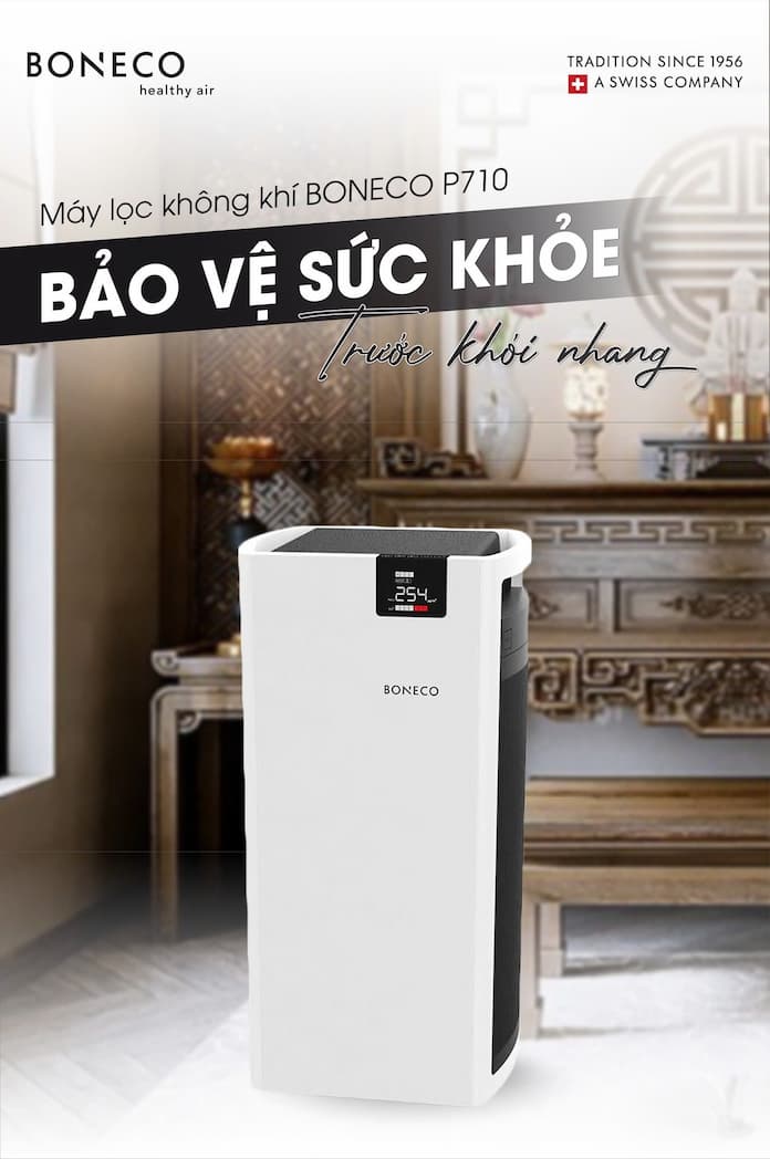 Máy lọc không khí Boneco P710 6