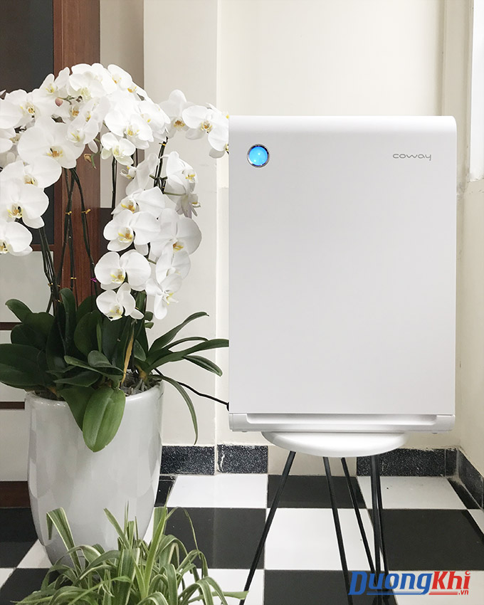 Máy lọc không khí và tạo ẩm Coway APM-1010DH