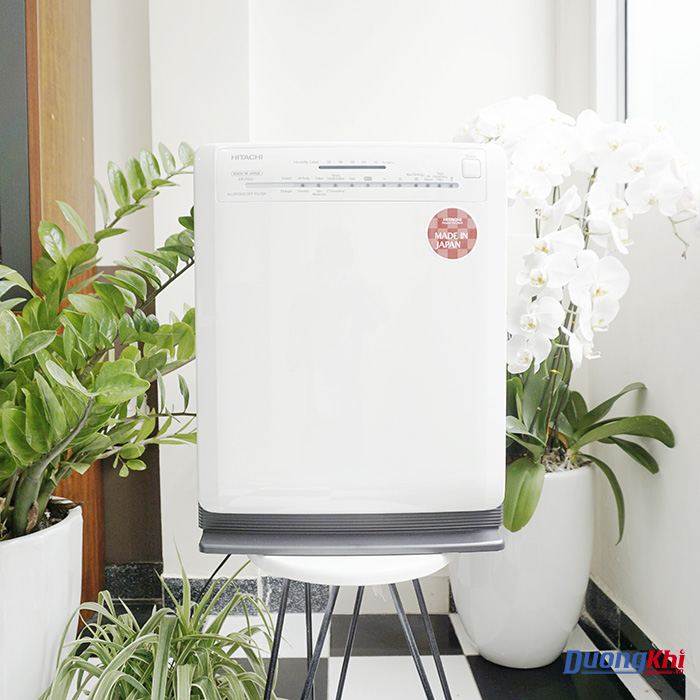 Máy lọc không khí và tạo ẩm Hitachi EP-P50J