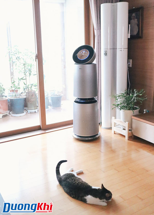 Máy lọc không khí LG Puricare 360 Pet Plus