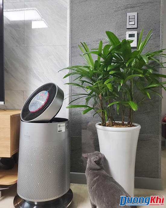 Máy lọc không khí LG Puricare Pet Plus AS191DNPA 1 tầng