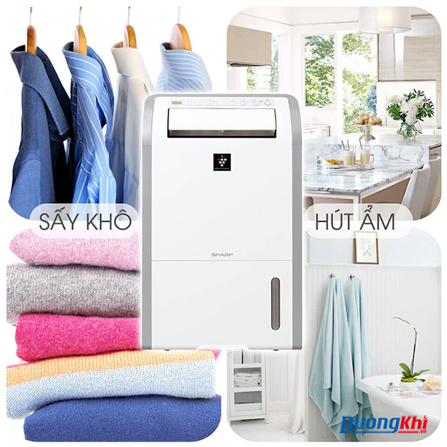 Máy lọc không khí và hút ẩm Sharp DW-D20A