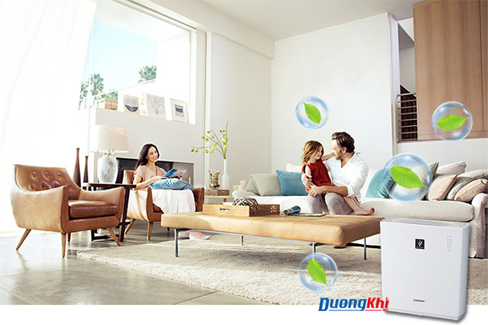 có nên sử dụng máy lọc không khí