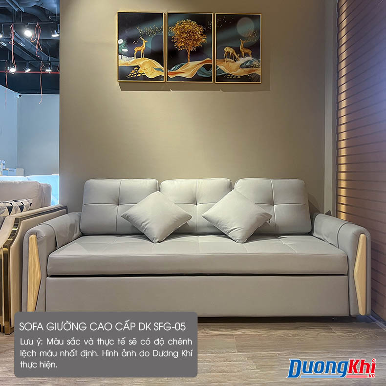Sofa giường thông minh DK SFG-05