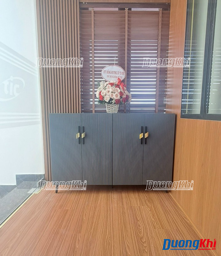 Tủ để giày thông minh DK44