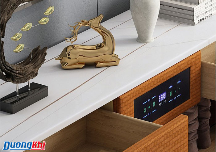 Tủ khử mùi giày cao cấp DK 10