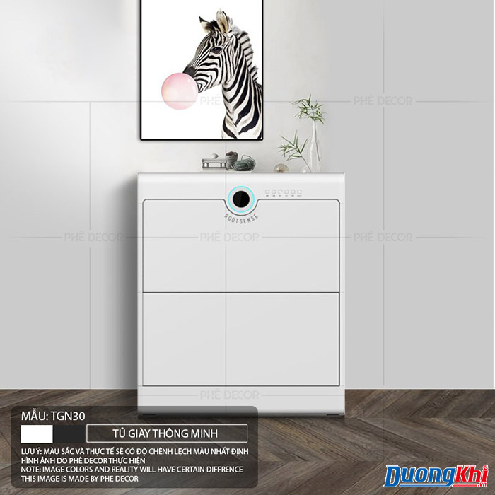 Tủ để giày thông minh DK14