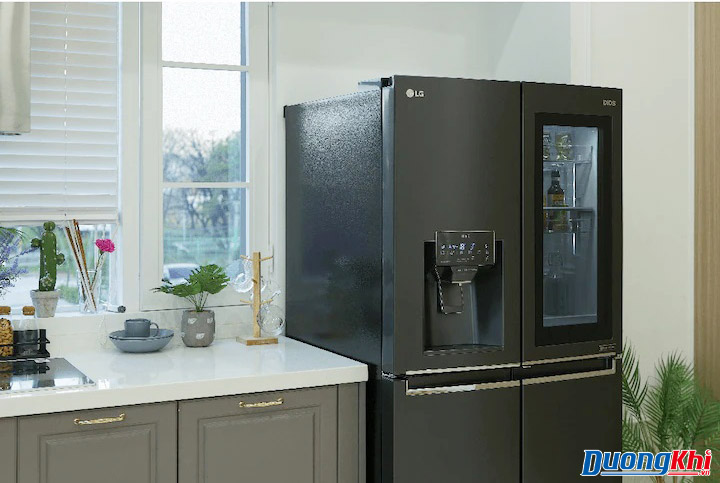 Tủ lạnh LG side by side Dios 